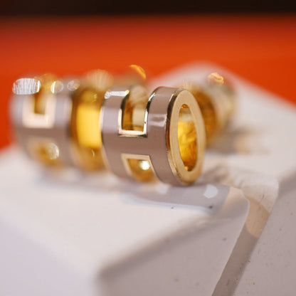 ¡®Veyra Jewelry¡¯MINI POP H GOLD EARRINGS GREY